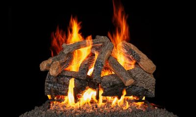 RH Peterson: Charred Majestic Oak Flame Enhanced Logs - 24" - primary view