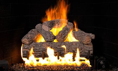 RH Peterson: Golden Oak Designer Plus Flame Enhanced Logs - 18/20" - primary view